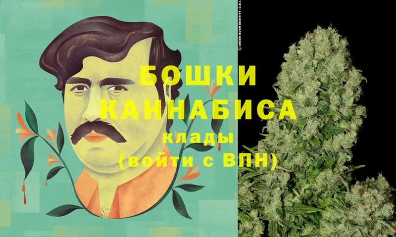 Канабис THC 21%  купить закладку  Мамадыш 